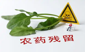 農(nóng)藥殘留檢測儀:公共健康危機(jī)的“預(yù)警系統(tǒng)”