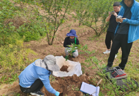 土壤檢測儀：農(nóng)業(yè)科技革新的關(guān)鍵